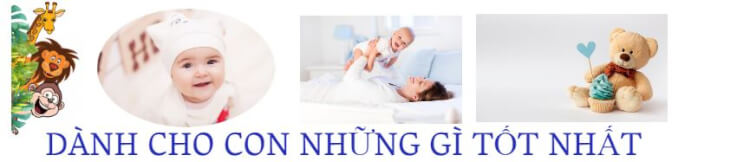 topchon banner