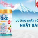 review sữa yoko vinamilk