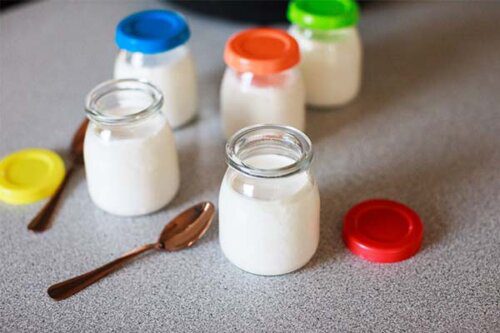 cách làm sữa chua từ máy hâm sữa
