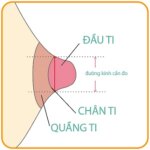 cách đo size phễu máy hút sữa