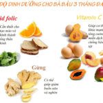 dinh dưỡng cho bà bầu 3 tháng đầu