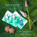 Kẹo giảm cân SoSlim