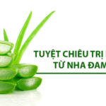 trị nám bằng nha đam