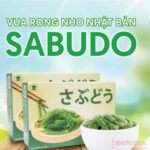 rong nho Sabudo