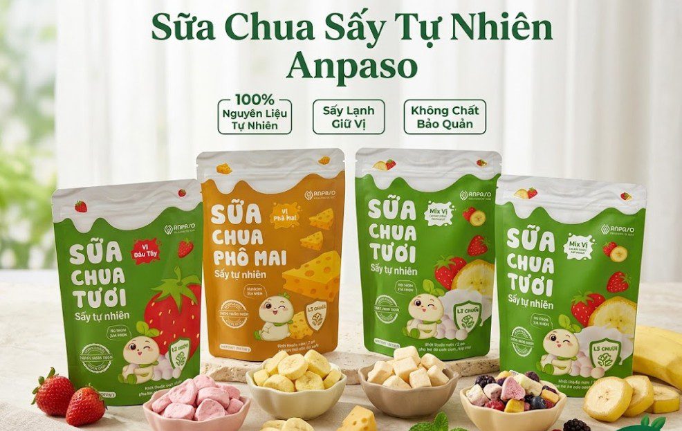 Sữa Chua Sấy Tự Nhiên Anpaso